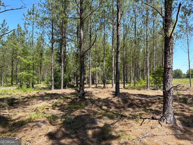 a view of a tree with a yard