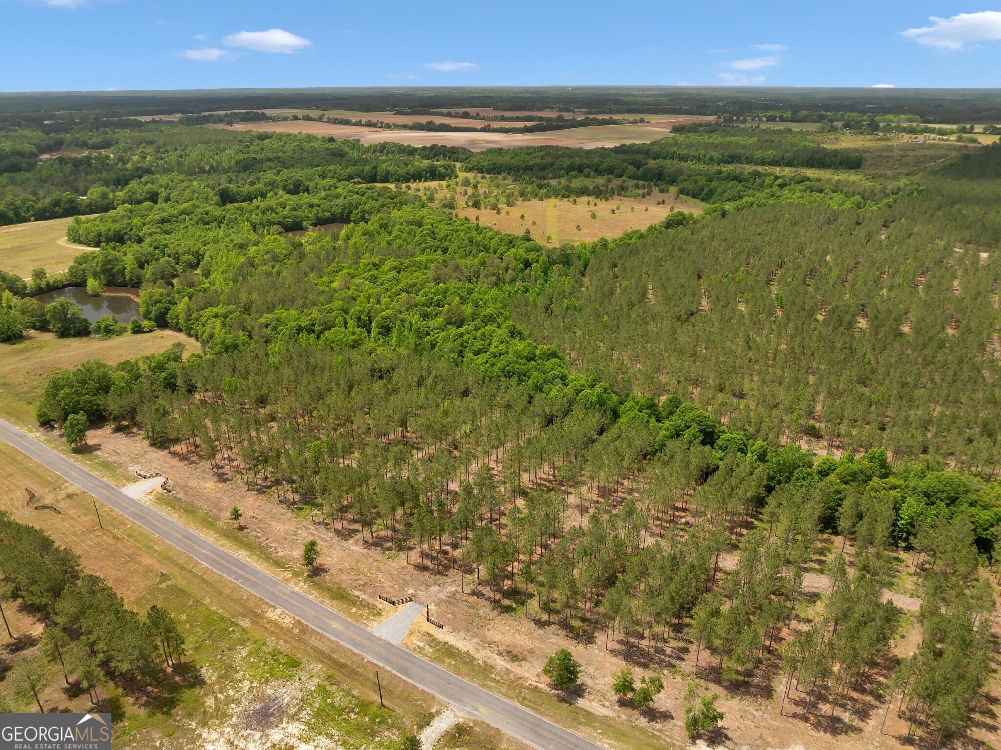 0 Dewey Thomas Road, Unit LOT 2 Dexter, GA 31019 - Photo 8 of 14 a view of an ocean and a mountain view in back
