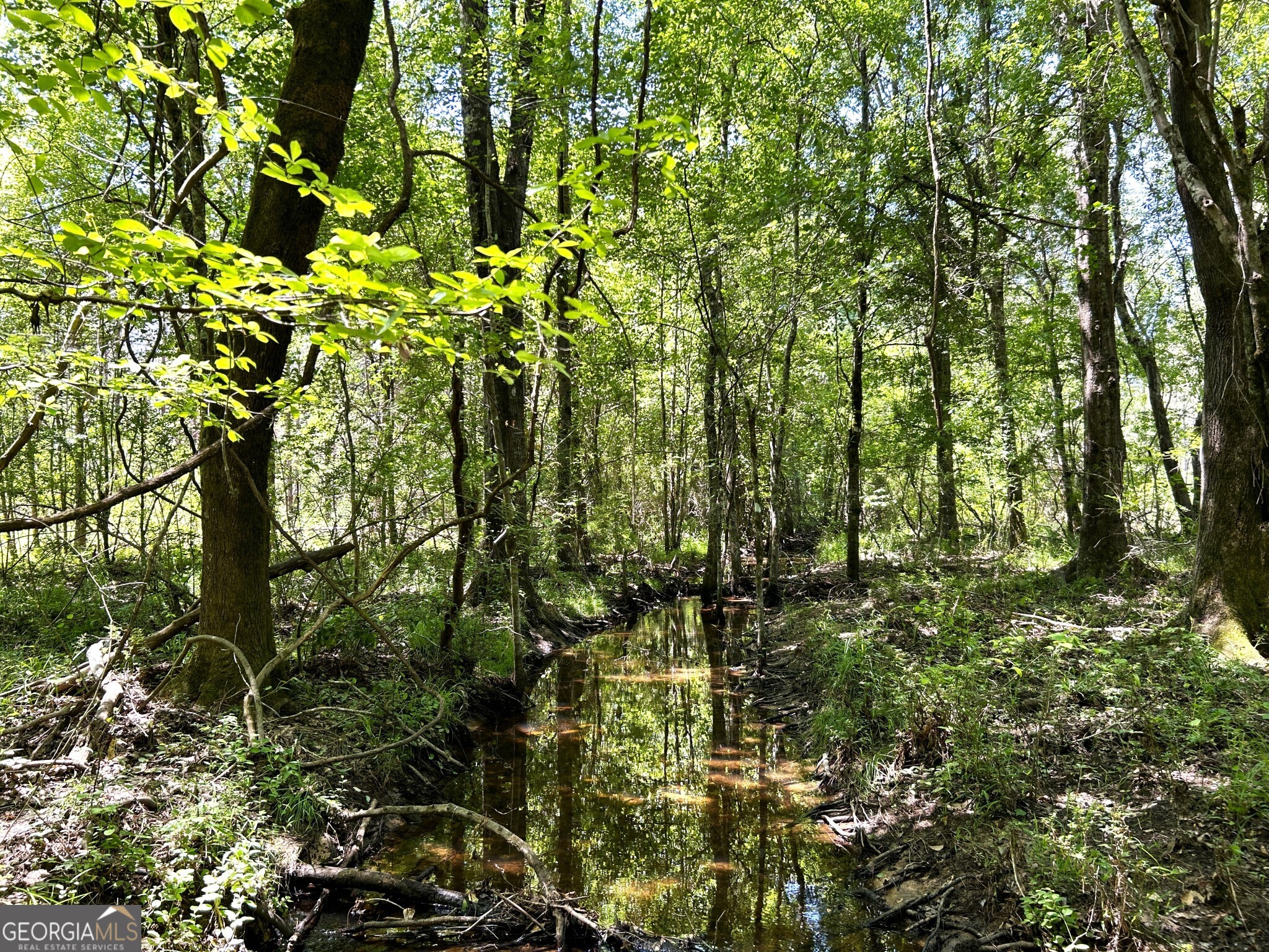 0 Dewey Thomas Road, Unit LOT 2 Dexter, GA 31019 - Photo 10 of 14 a view of a tree
