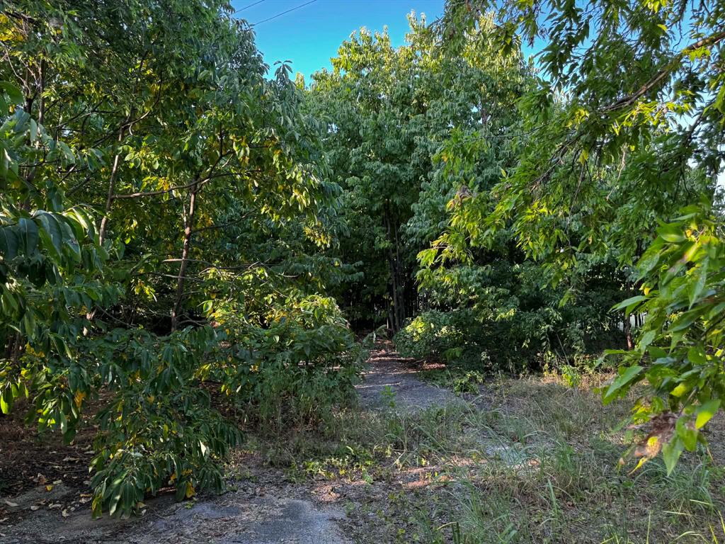 4270 Belz Road Sanger, TX 76266 - Photo 4 of 40 Wooded lot featuring mature trees and natural ground cover