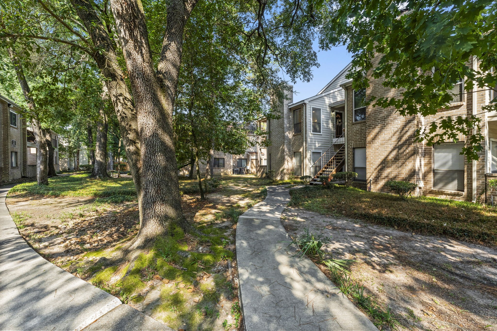 3500 Tangle Brush Drive, Unit 178 Spring, TX 77381 - Photo 39 of 42 a backyard of a house with lots of green space