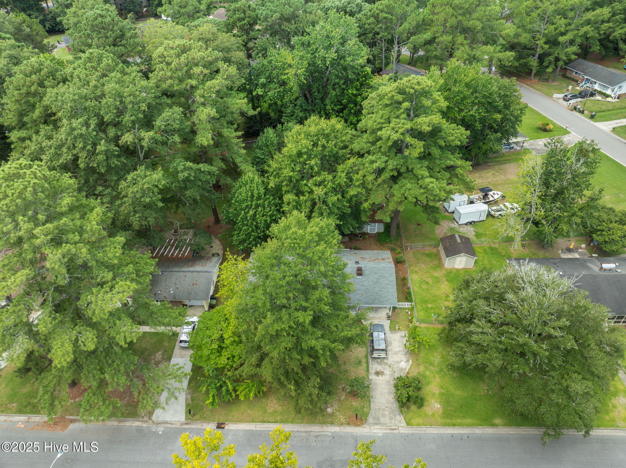 307 Rodmans Road Washington, NC 27889 - Photo 4 of 38 Mature landscape.