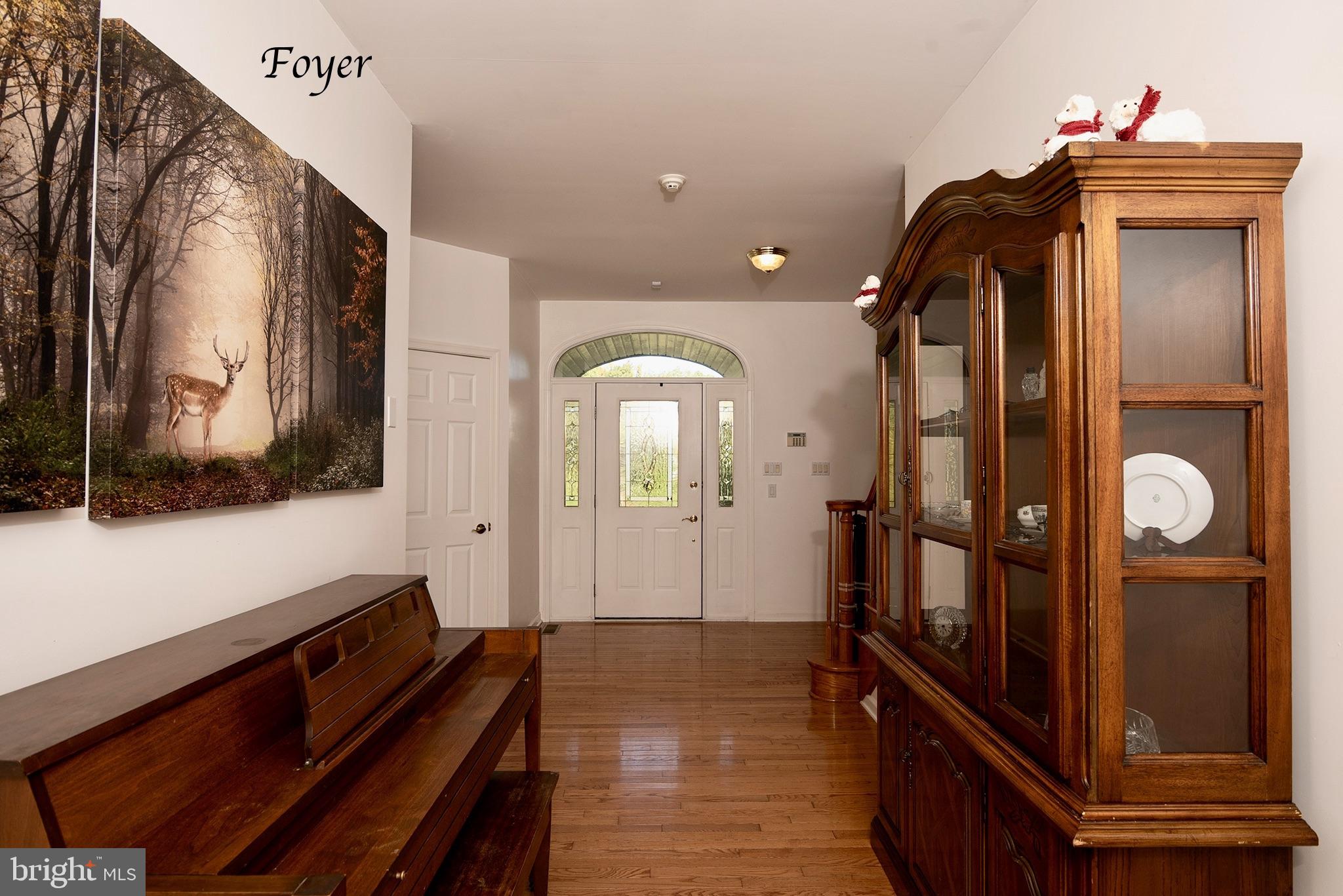 699 Shady Beach Road North East, MD 21901 - Photo 4 of 51 Foyer