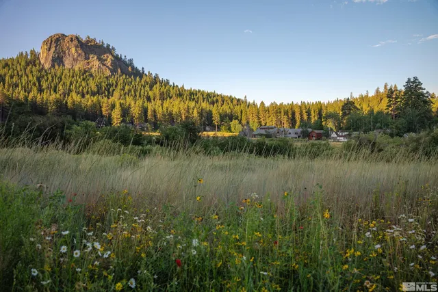 a view of a pathway with a garden