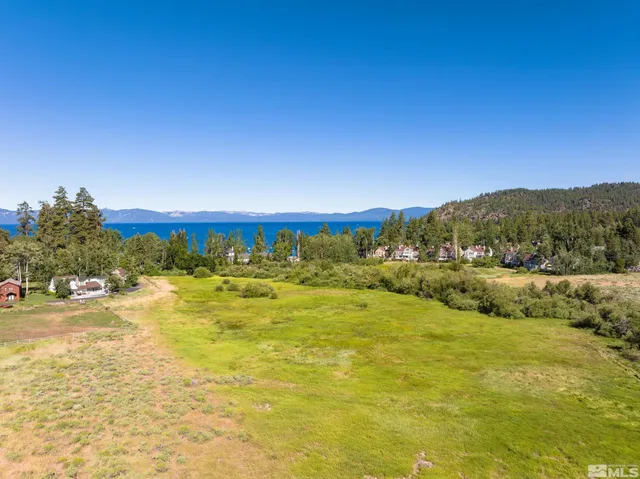 a view of a yard with flower plants and wooden fence