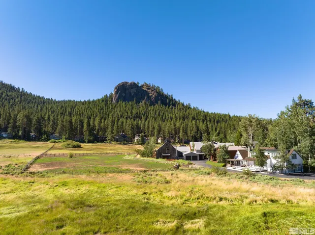a view of swimming pool and trees in the background