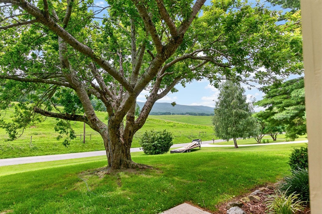 1299 Kinder Valley Road Rural Retreat, VA 24368 - Photo 13 of 82 Gallery Image 13
