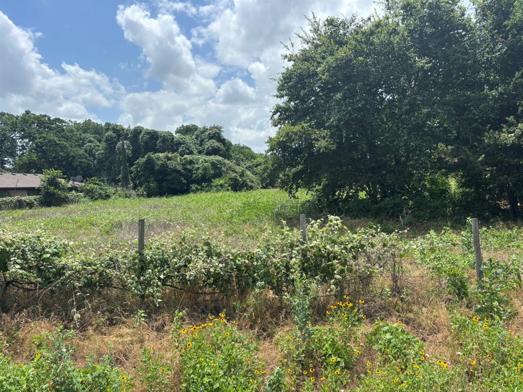 12999 Gholson Road Gholson, TX 76705 - Photo 3 of 4