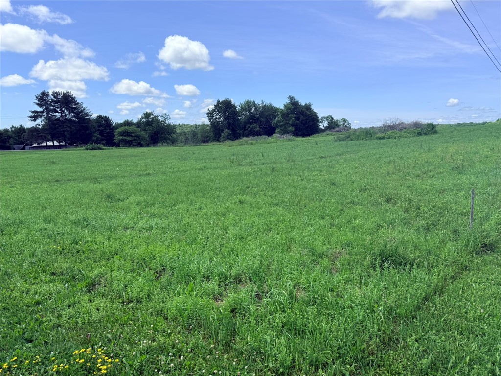 L17 North Pond Road Guilford, NY 13780 - Photo 3 of 19