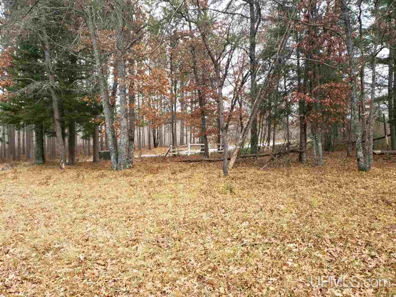 T-wi Wi 54121 Road Florence, WI 54121 - Photo 10 of 11