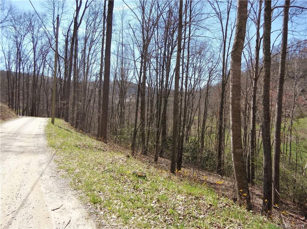 4 Liner Creek Road Clyde, NC 28721 - Photo 1 of 42 a view of backyard with trees
