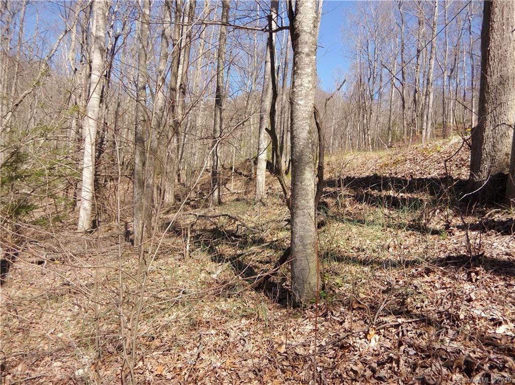 4 Liner Creek Road Clyde, NC 28721 - Photo 11 of 42 a view of a yard with trees