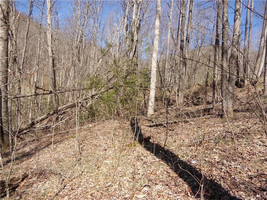 4 Liner Creek Road Clyde, NC 28721 - Photo 13 of 42 a view of a yard with wooden fence