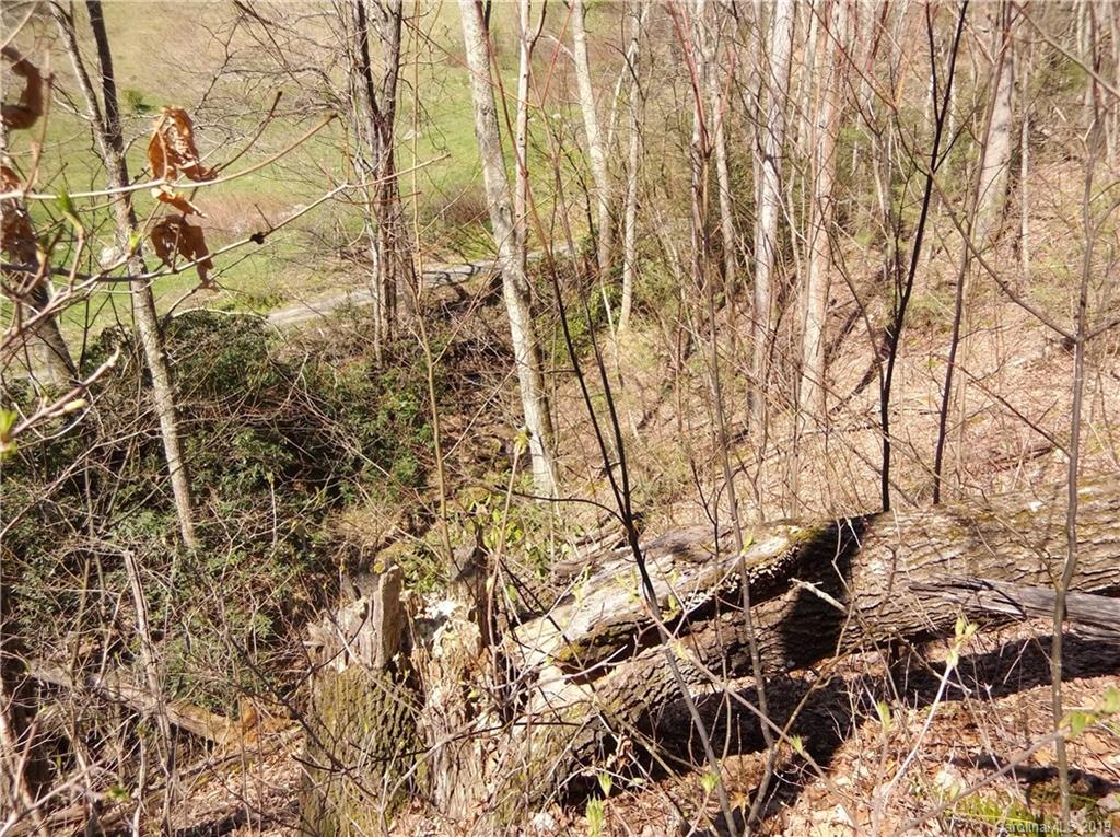 4 Liner Creek Road Clyde, NC 28721 - Photo 16 of 42