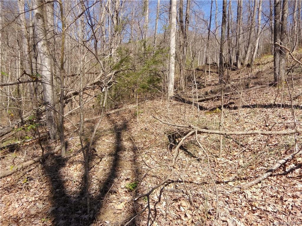4 Liner Creek Road Clyde, NC 28721 - Photo 18 of 42 a view of a yard with trees
