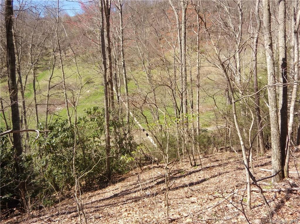 4 Liner Creek Road Clyde, NC 28721 - Photo 20 of 42 a backyard of a house with a yard and large trees