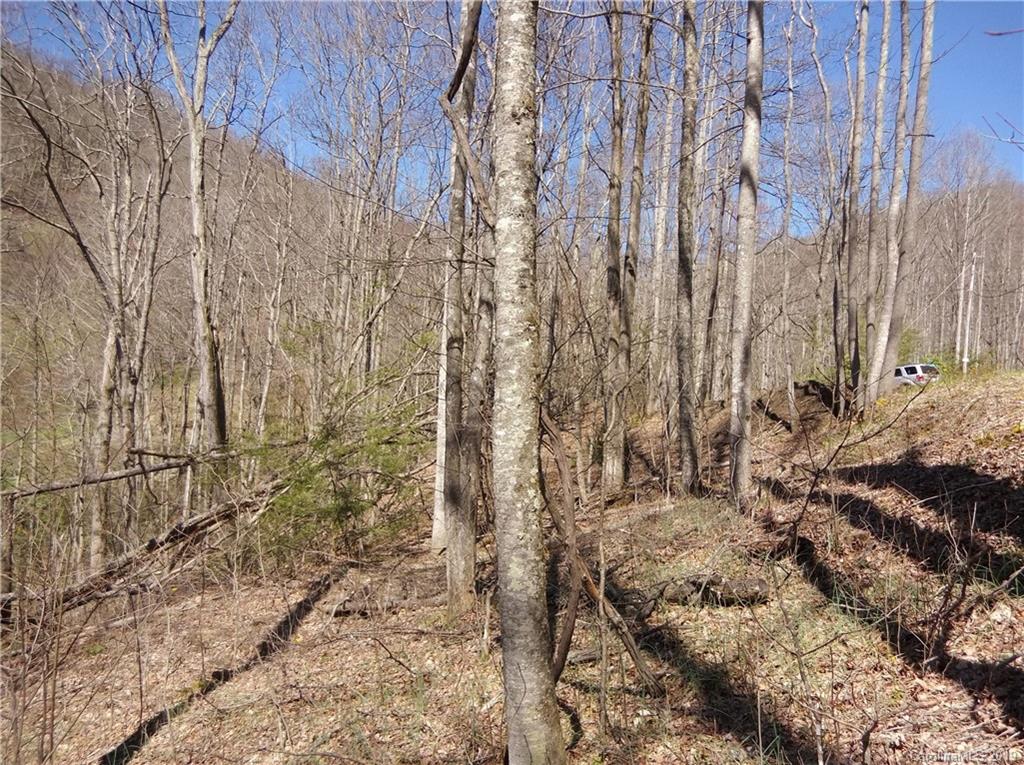4 Liner Creek Road Clyde, NC 28721 - Photo 21 of 42 a view of a yard with trees