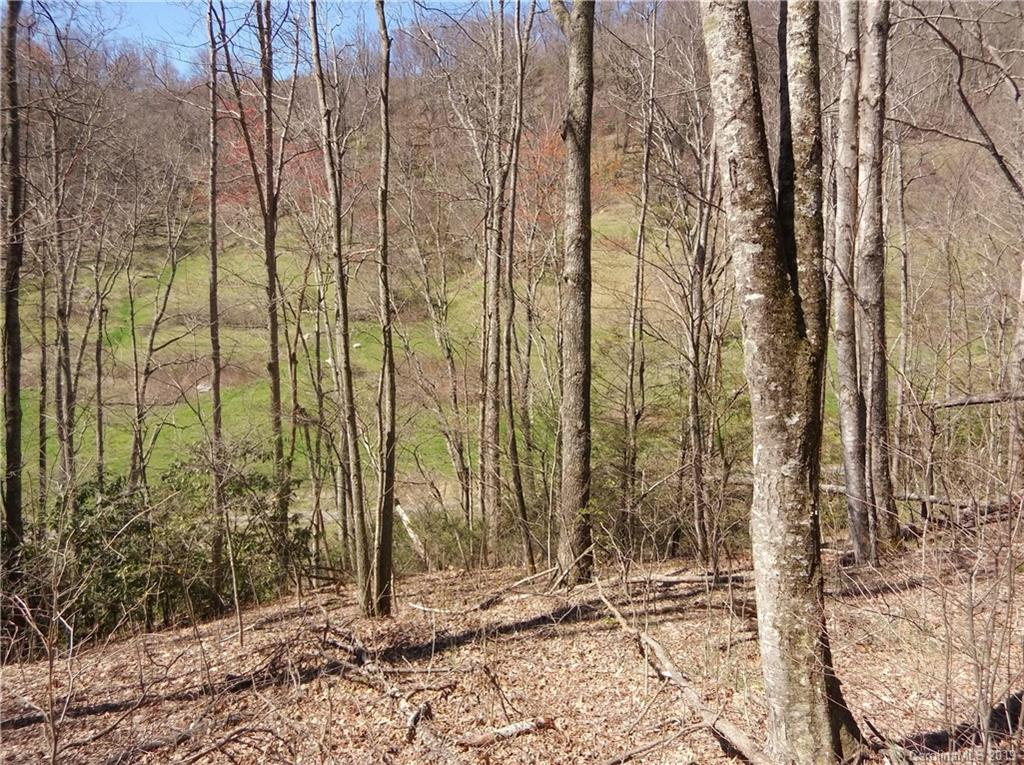 4 Liner Creek Road Clyde, NC 28721 - Photo 23 of 42 a view of a outdoor space