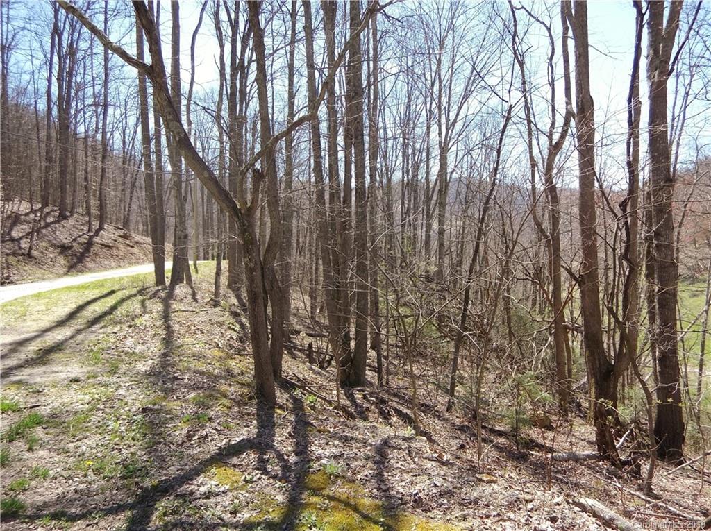 4 Liner Creek Road Clyde, NC 28721 - Photo 24 of 42 a view of yard with trees