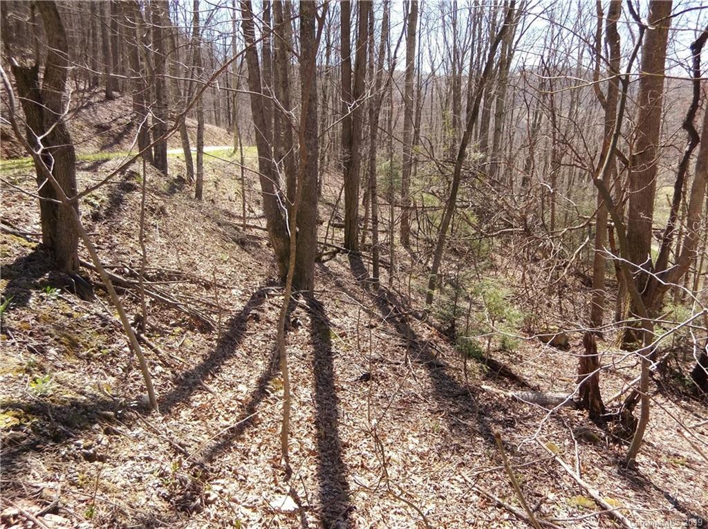 4 Liner Creek Road Clyde, NC 28721 - Photo 25 of 42 a yard with tall trees