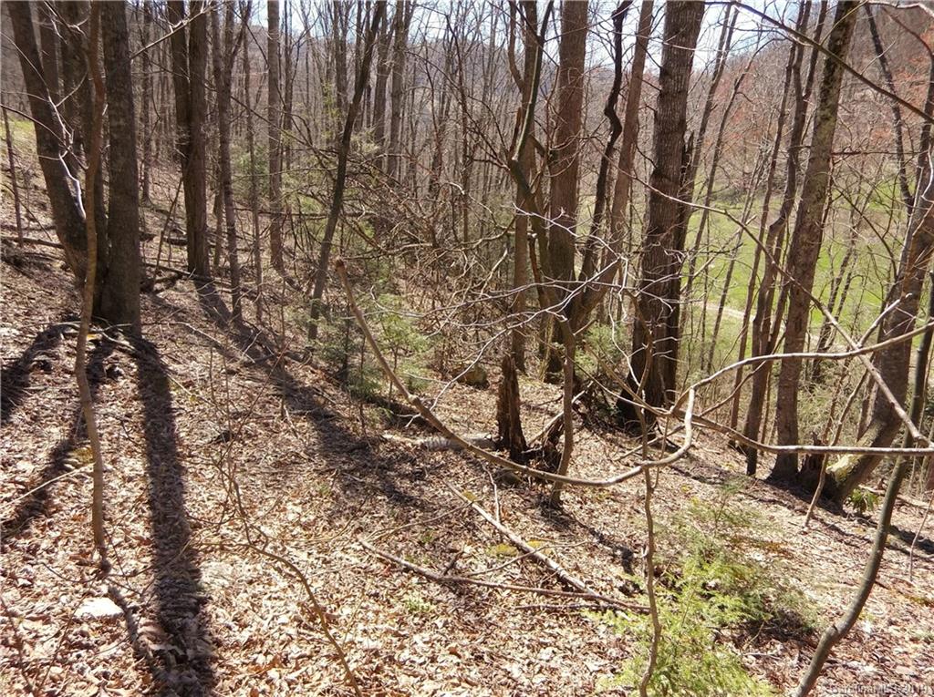 4 Liner Creek Road Clyde, NC 28721 - Photo 26 of 42 a backyard of a house with a yard and large trees