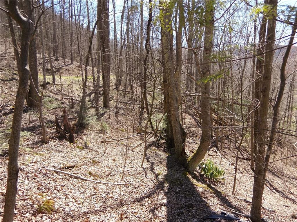 4 Liner Creek Road Clyde, NC 28721 - Photo 28 of 42 a view of a yard with trees
