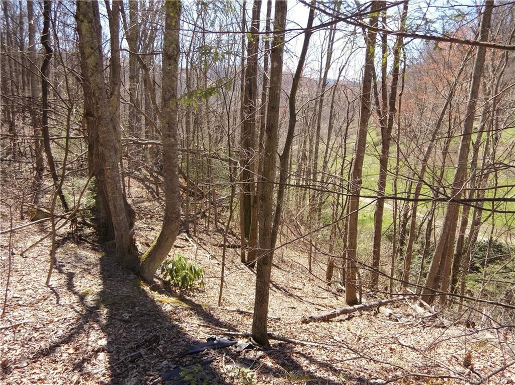 4 Liner Creek Road Clyde, NC 28721 - Photo 29 of 42 a picture of trees with some trees