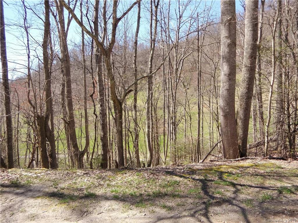 4 Liner Creek Road Clyde, NC 28721 - Photo 4 of 42 a view of a backyard of the house
