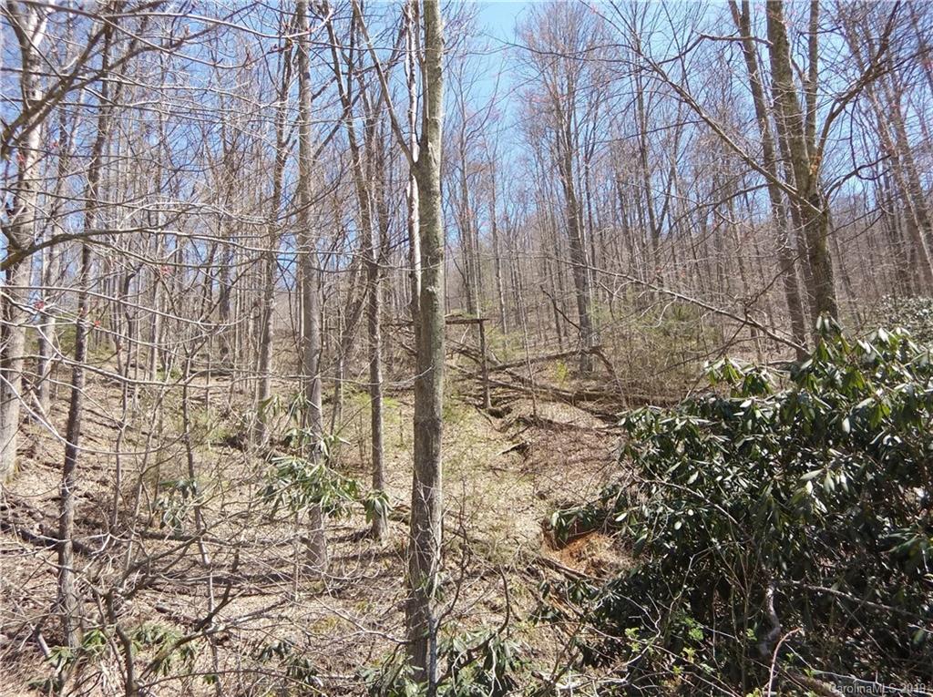 4 Liner Creek Road Clyde, NC 28721 - Photo 33 of 42 a view of a yard with trees