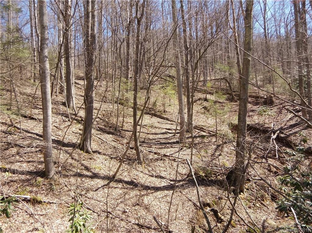 4 Liner Creek Road Clyde, NC 28721 - Photo 36 of 42 a backyard of a house with lots of trees