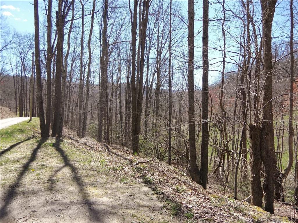 4 Liner Creek Road Clyde, NC 28721 - Photo 38 of 42 a view of backyard with trees