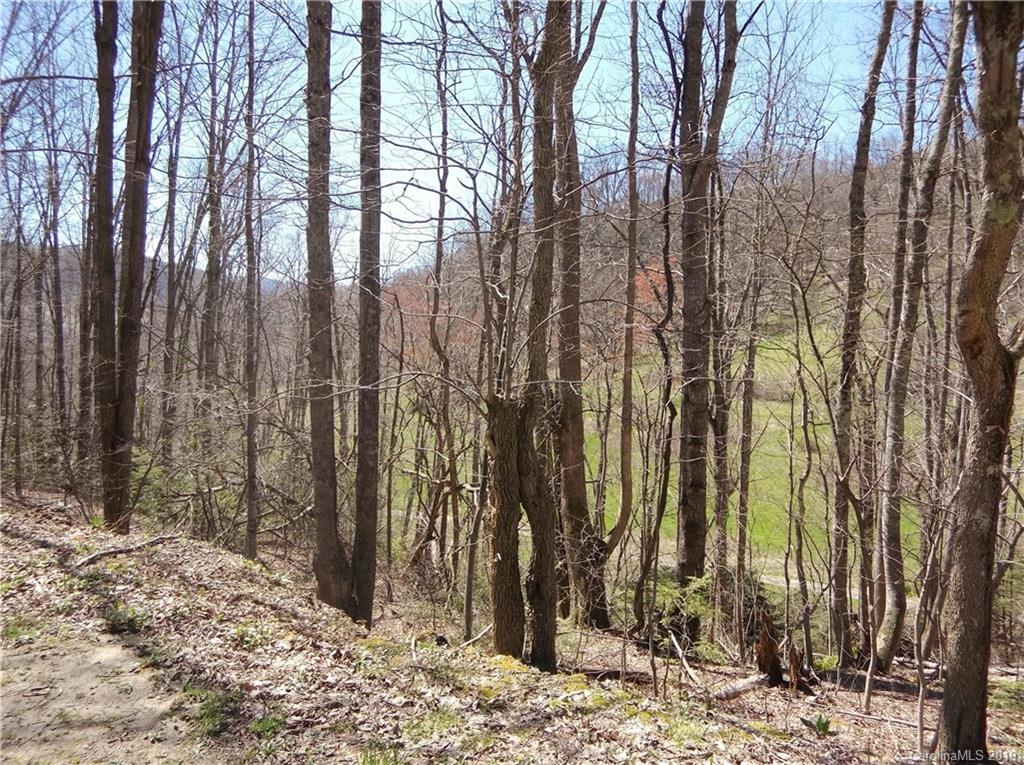 4 Liner Creek Road Clyde, NC 28721 - Photo 39 of 42 a view of a backyard of the house