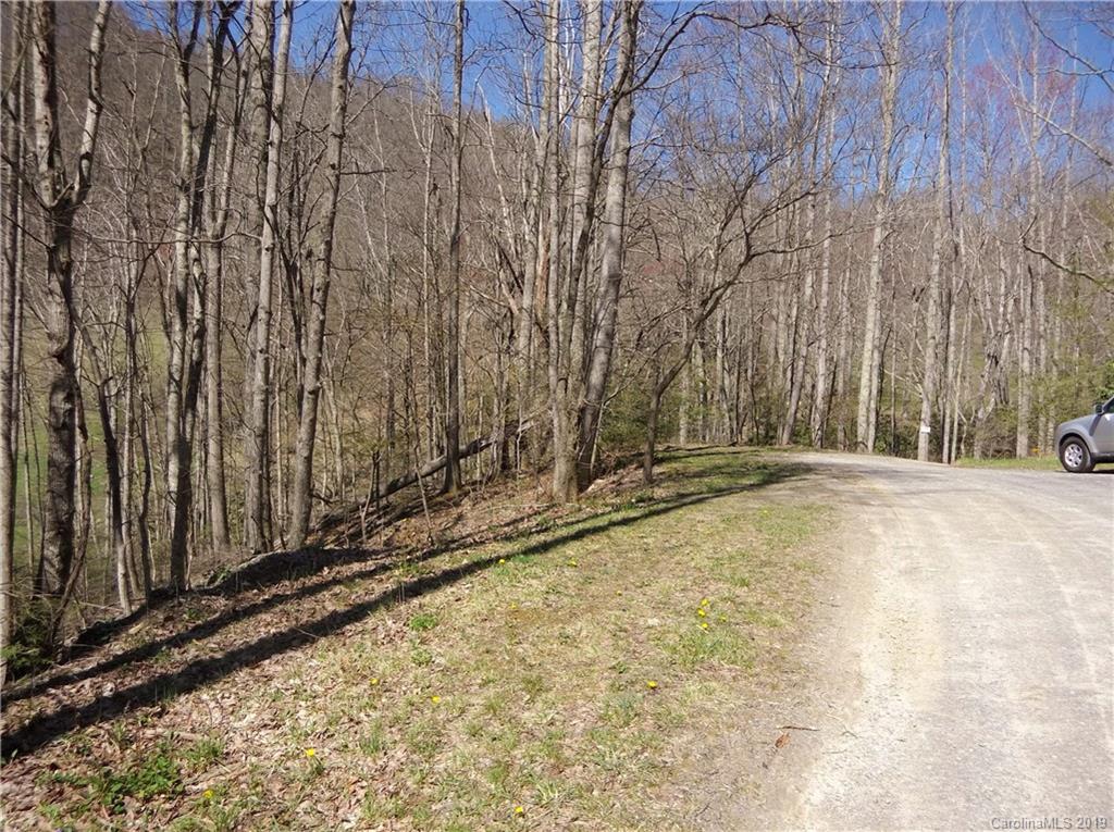 4 Liner Creek Road Clyde, NC 28721 - Photo 7 of 42 a view of a yard with wooden fence