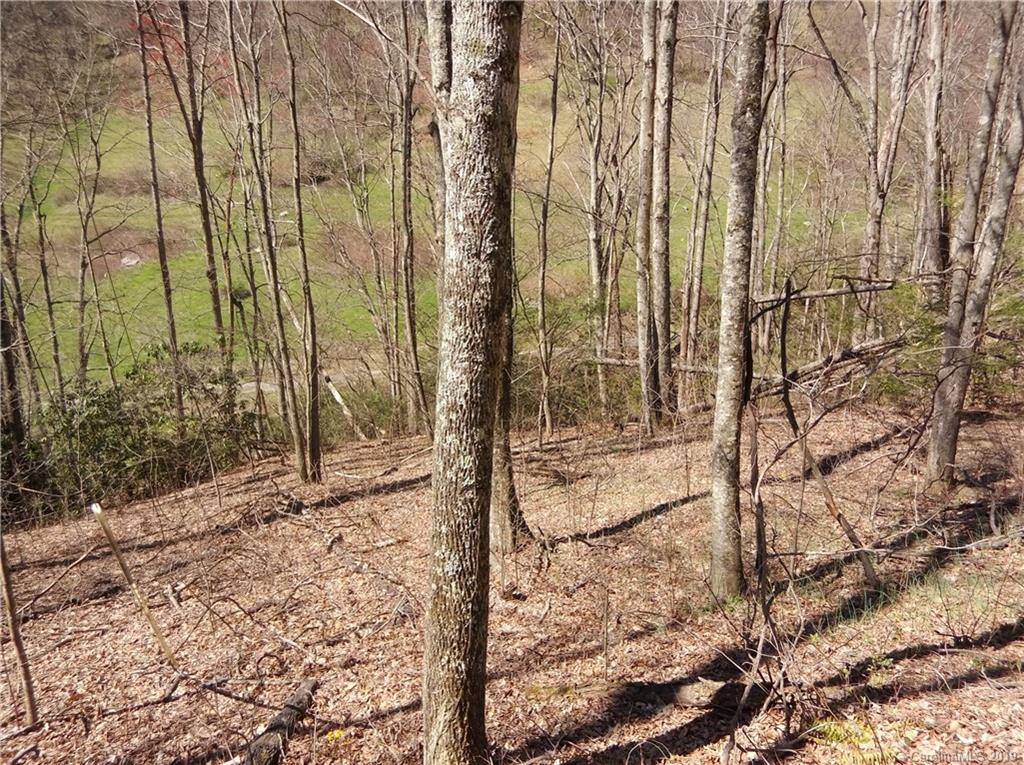 4 Liner Creek Road Clyde, NC 28721 - Photo 9 of 42 a view of a backyard of the house