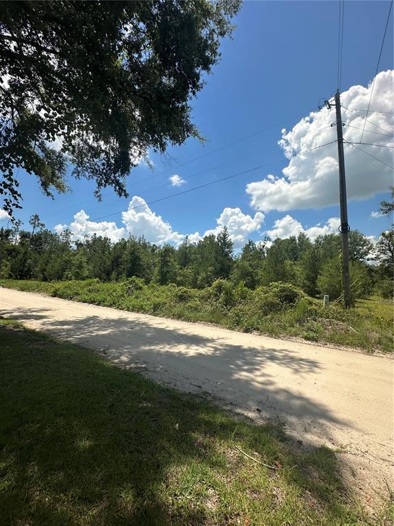 209th Road Live Oak, FL 32060 - Photo 3 of 7