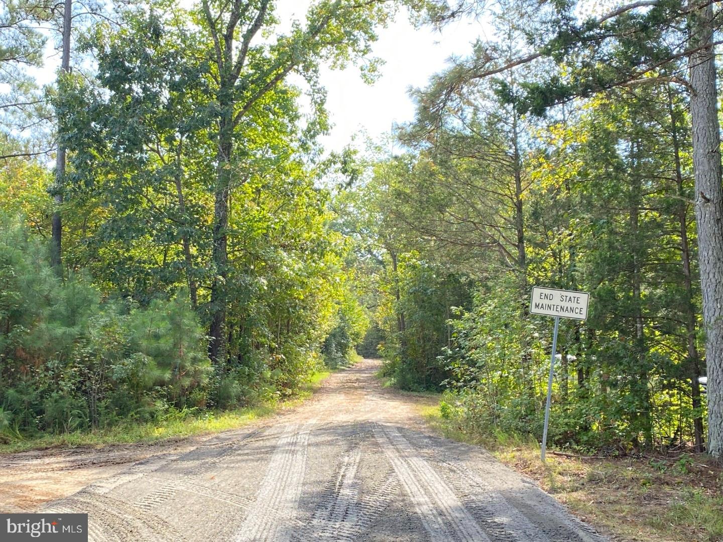 684 Squirrel Hollow Road Alberta, VA 23821 - Photo 5 of 43 Secluded path through lush greenery.