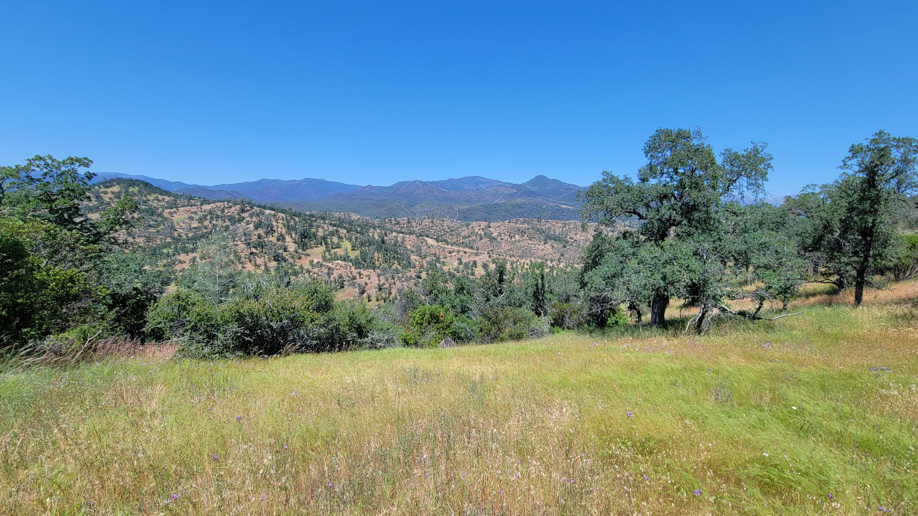 Lot 176 Straight Arrow Road Igo, CA 96047 - Photo 5 of 35 20240516_125515