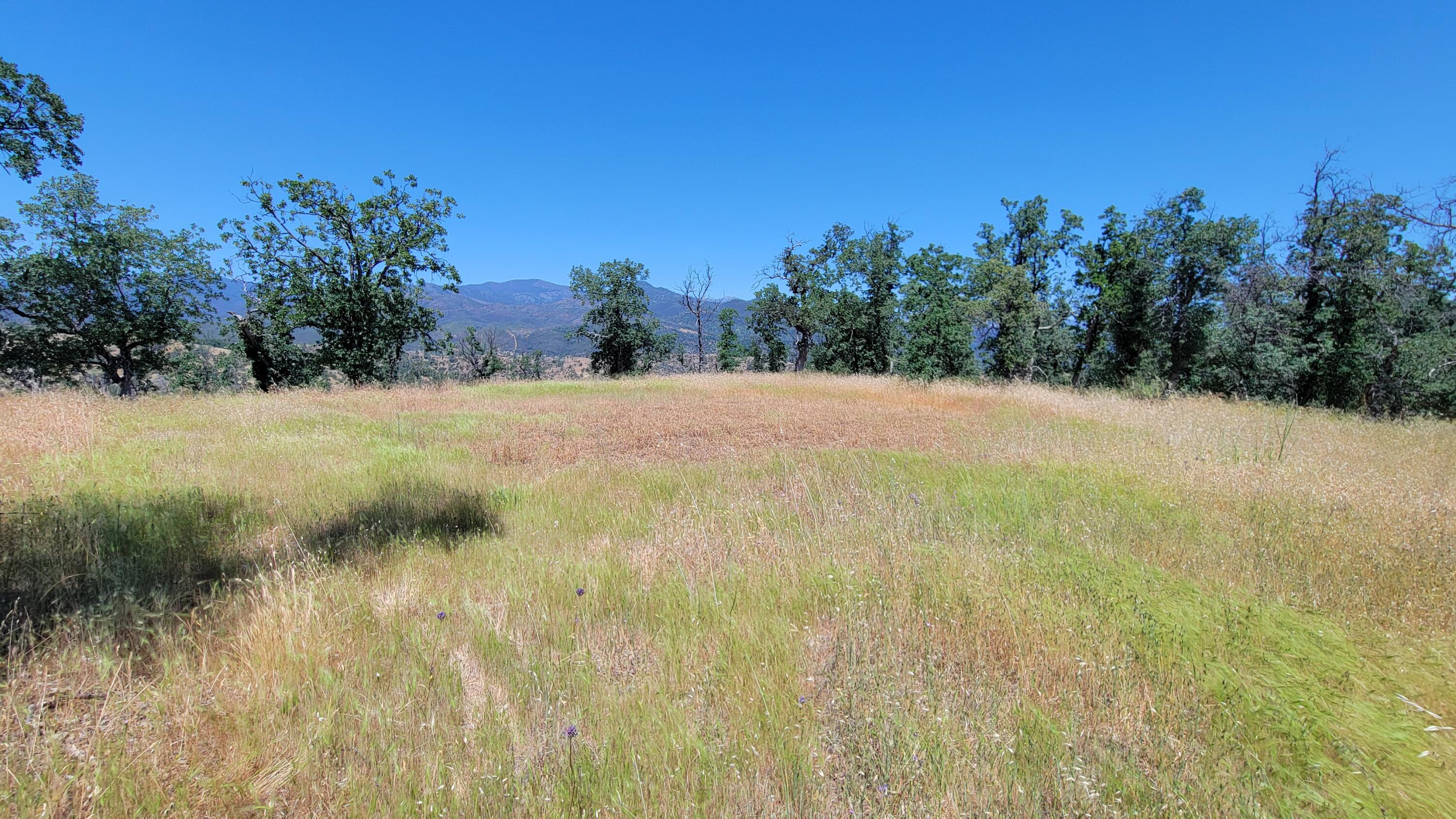 Lot 176 Straight Arrow Road Igo, CA 96047 - Photo 8 of 35 20240516_125804
