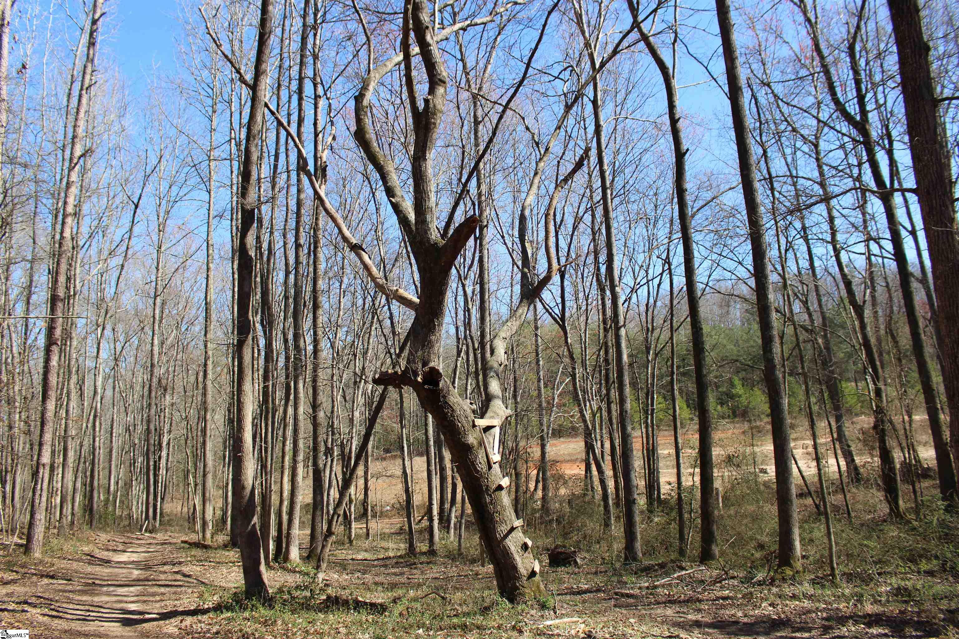 134 Bates Road Marietta, SC 29661 - Photo 13 of 13