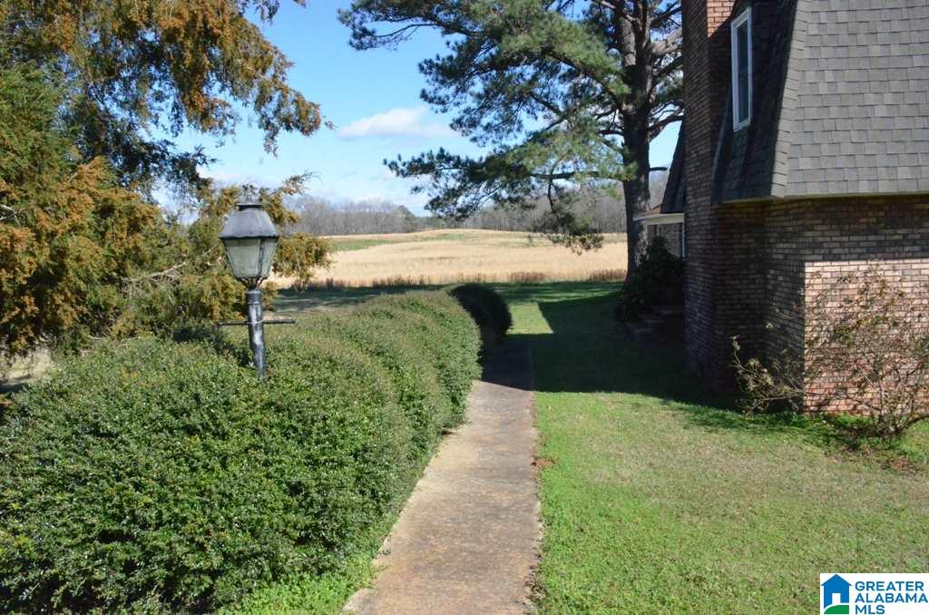 6477 Berney Station Road Talladega, AL 35160 - Photo 23 of 50