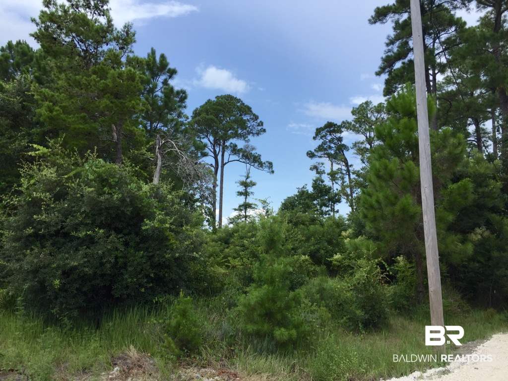 9543 Ft Morgan Road Gulf Shores, AL 36542 - Photo 3 of 28