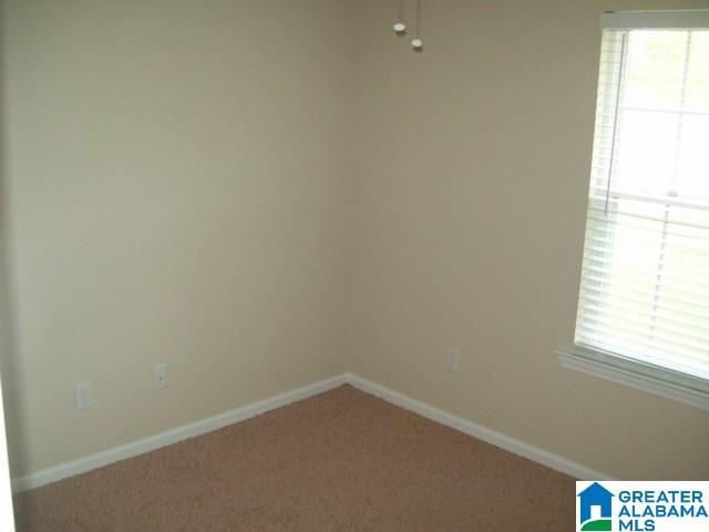 15796 Wire Road Cottondale, AL 35453 - Photo 12 of 20