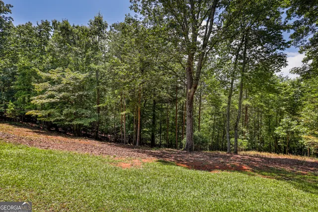 a view of outdoor space and trees all around