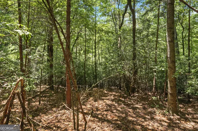 a view of backyard with tree