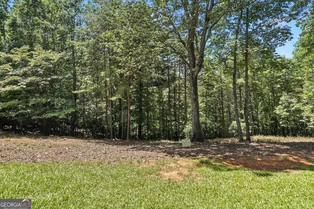 a view of a yard with plants and a trees