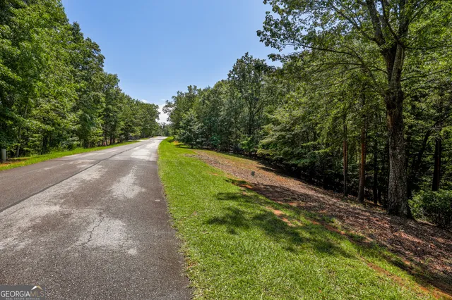 a grassy field with lots of trees