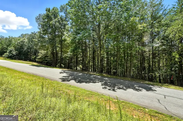 a view of a lush green forest with a building in the background