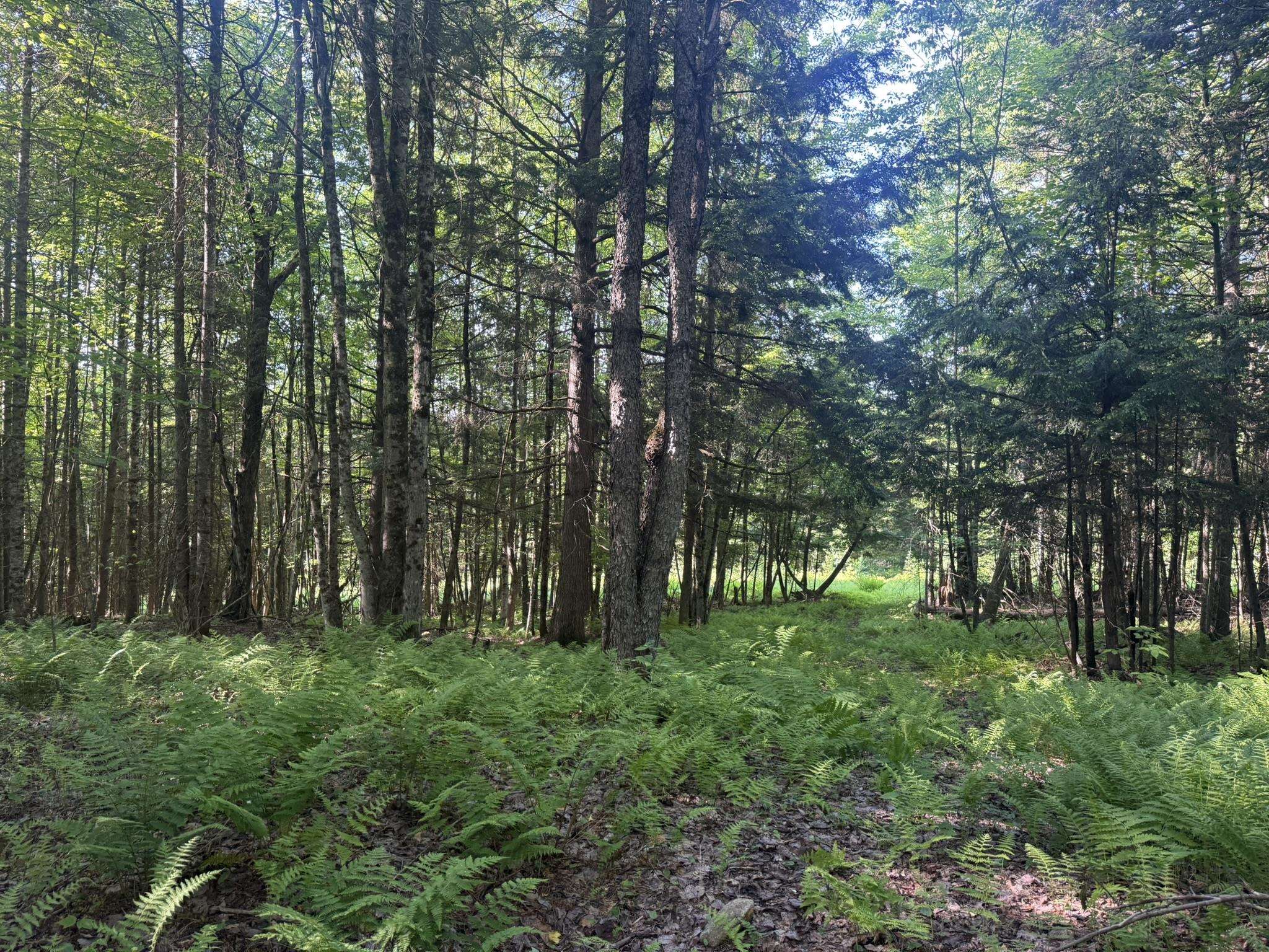 0 Roaring Brook Road Barton, VT 05822 - Photo 12 of 18