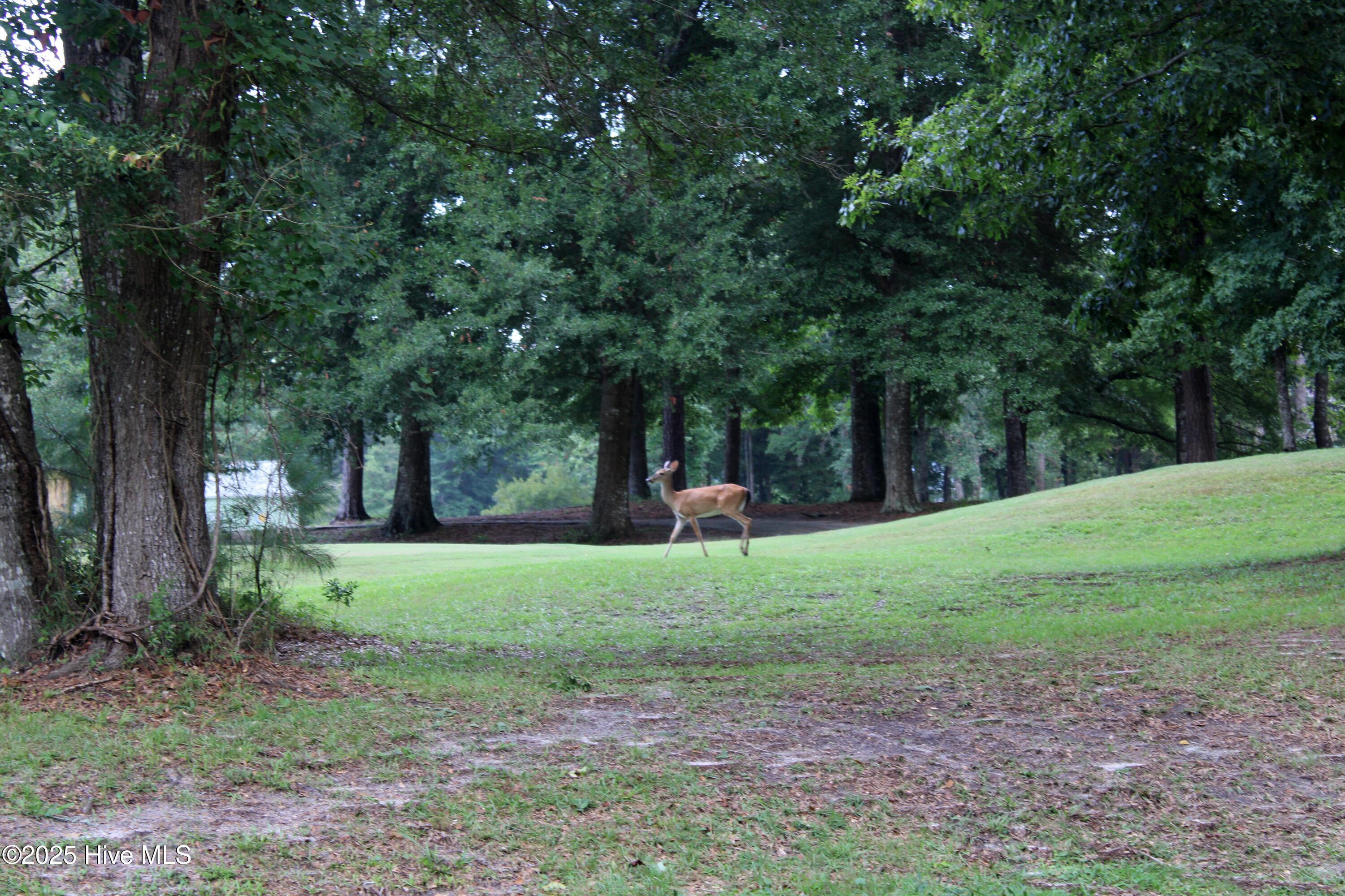240 Genoe's Point Road Southwest Supply, NC 28462 - Photo 17 of 17 IMG_1117