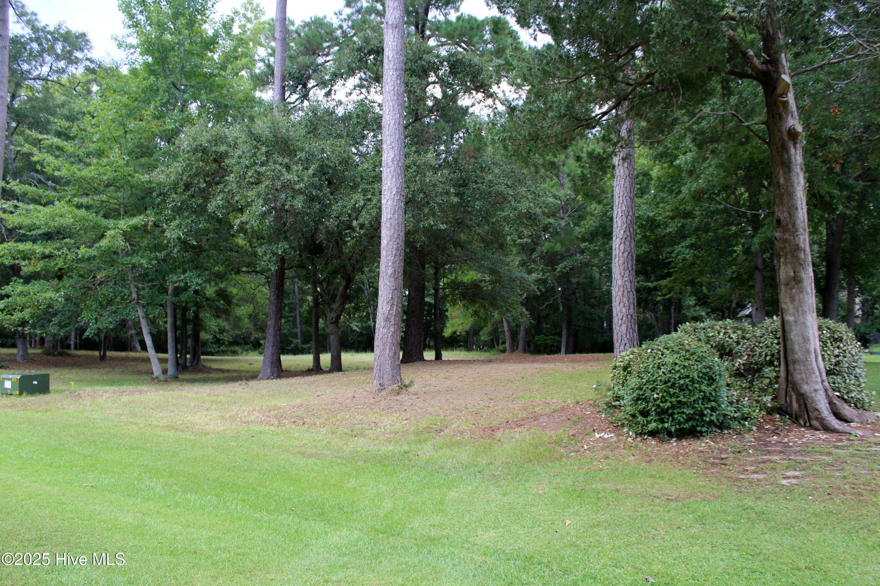 240 Genoe's Point Road Southwest Supply, NC 28462 - Photo 2 of 17 IMG_1119